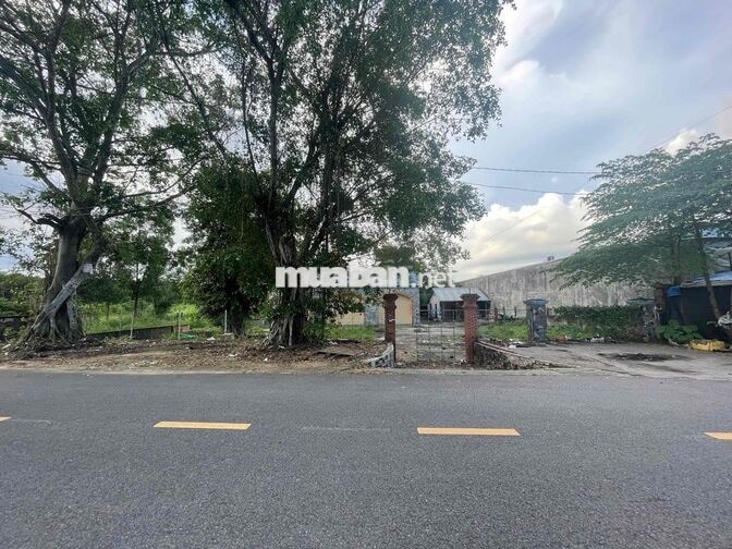 BÁN ĐẤT 2 MẶT TIỀN NHỰA P. NHƠN TRẠCH.