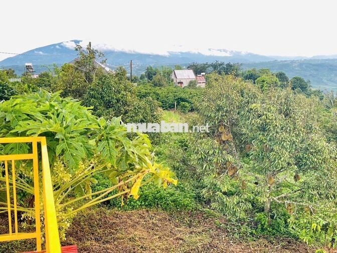 [SĂN MÂY - VIEW SÔNG] 1.686M² ĐẤT TÂN HÀ (LÂM HÀ)