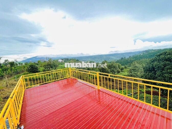 [SĂN MÂY - VIEW SÔNG] 1.686M² ĐẤT TÂN HÀ (LÂM HÀ)