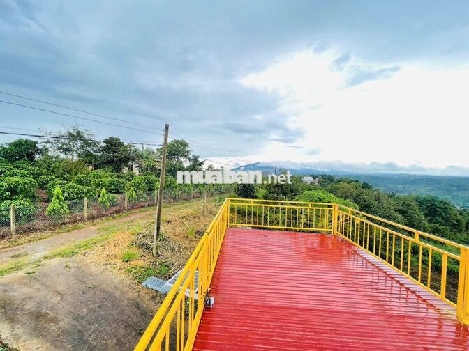 [SĂN MÂY - VIEW SÔNG] 1.686M² ĐẤT TÂN HÀ (LÂM HÀ)