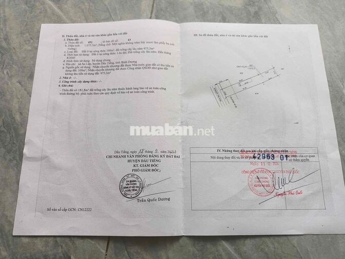 🏡 BÁN ĐẤT XÃ AN LẬP, DẦU TIẾNG, BÌNH DƯƠNG