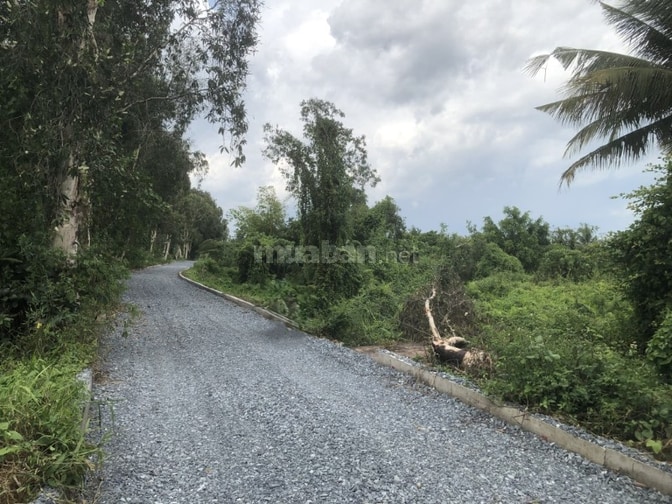 Đất trồng cây HN, MT Rạch Bà Hồng, x.Nhị Bình, HM; hơn 4500m2; giá TL