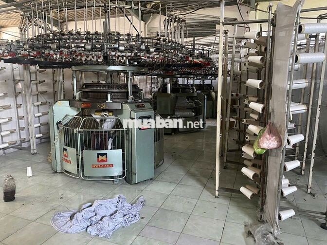 Nhà xưởng cần bấn Đường số 1, khu dân cư Trần Anh, đức hoà long an. TL