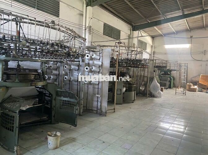Nhà xưởng cần bấn Đường số 1, khu dân cư Trần Anh, đức hoà long an. TL
