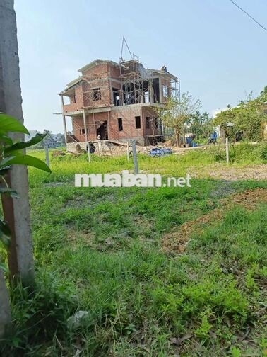 201 m đất ở hoàn toàn thôn lệ sơn 2 hòa tiến cần bán 