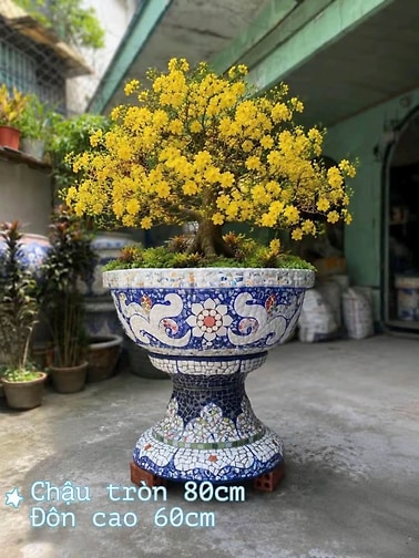 chậu ghép sành sứ , khảm miểng chén dĩa xưa