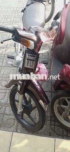 Honda Dream xe máy số màu nho