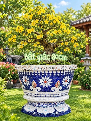 chậu ghép sành sứ , khảm miểng chén dĩa xưa