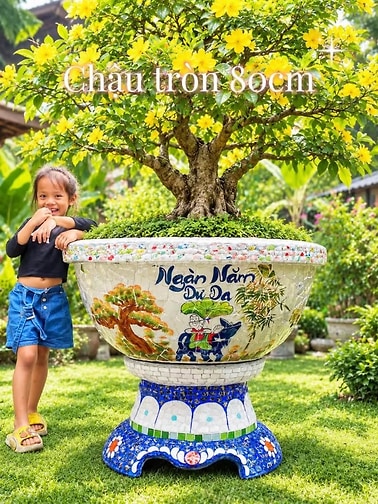 chậu ghép sành sứ , khảm miểng chén dĩa xưa