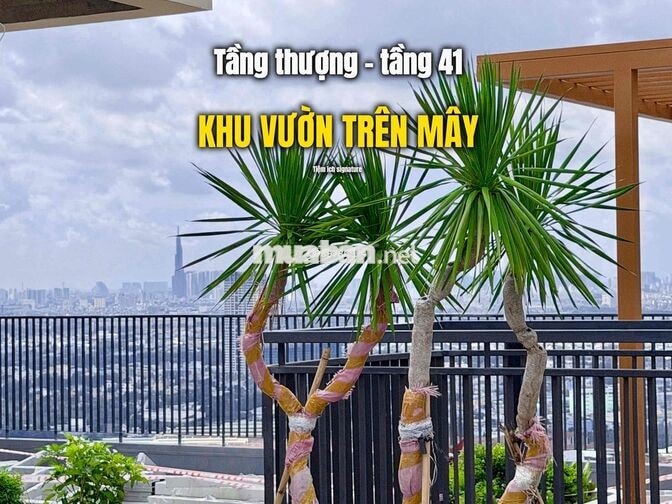 Chính chủ cho thuê căn hộ 2PN 2WC cho 3-4 người ở thoải mái