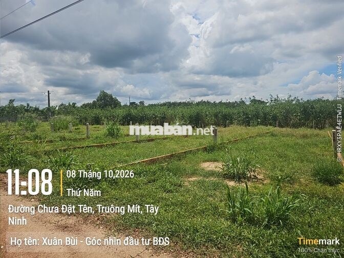 Giá đáy khu vực: chỉ 290 tr kề KCN Thạnh Đức, 5x29m, ở hoặc xây trọ