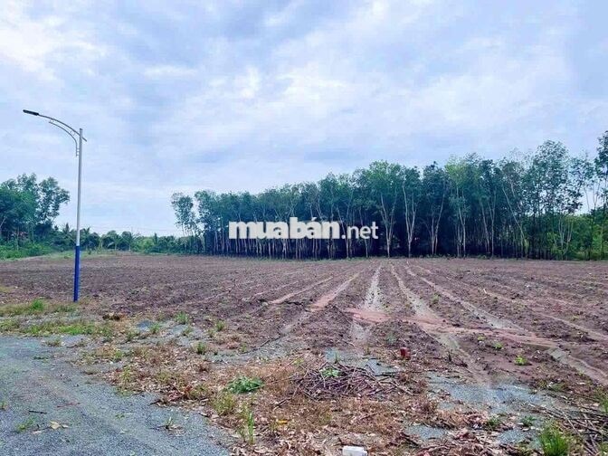 CHÍNH CHỦ BÁN ĐẤT MINH LẬP - 1.007 m² - CÓ SẴN 200 m² ĐẤT THỔ CƯ