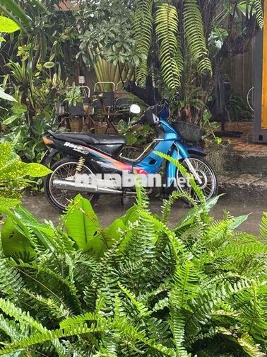 Wave TQ dọn 110 gtdd bstp