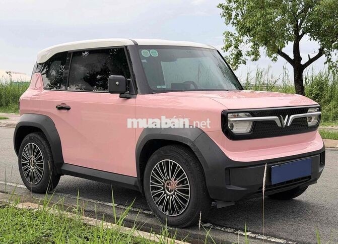 Bé Hồng nữ tính 2025