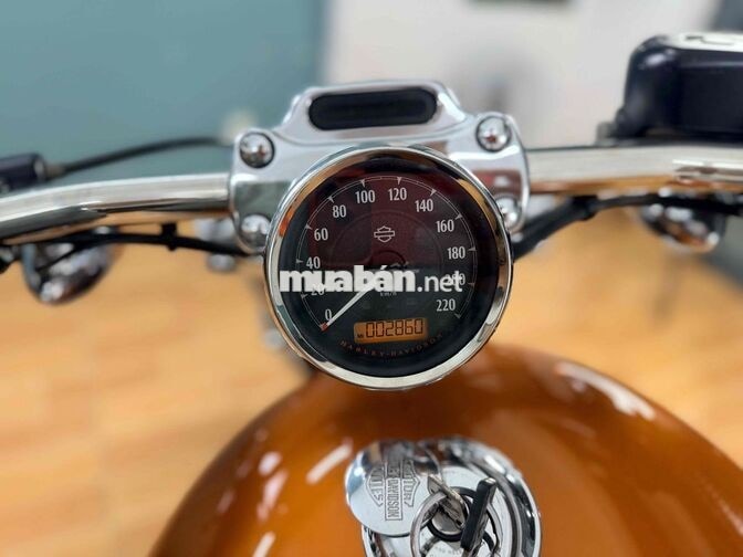 Harley Davidson Custom 1200 2014 Cam đen