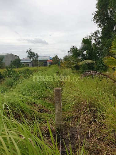 Đất Bến Lức Long An nhà vườn giá tốt