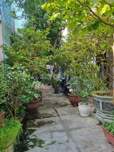 Cần bán đất kiệt 2m5 Phan Bá Phiến ( Vị trí gần Chợ Chiều - SƠN TRÀ ) 
