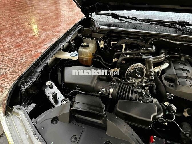 Ford Everest 2024 Sport 7 chỗ Đen