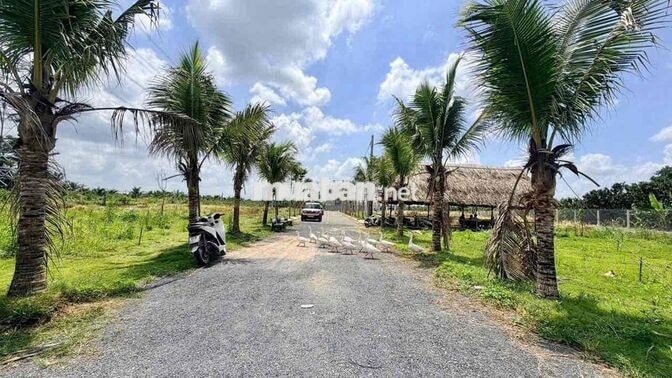 ĐẤT NỀN TÂN TRIỀU – HẠ TẦNG SINH THÁI (SHR)