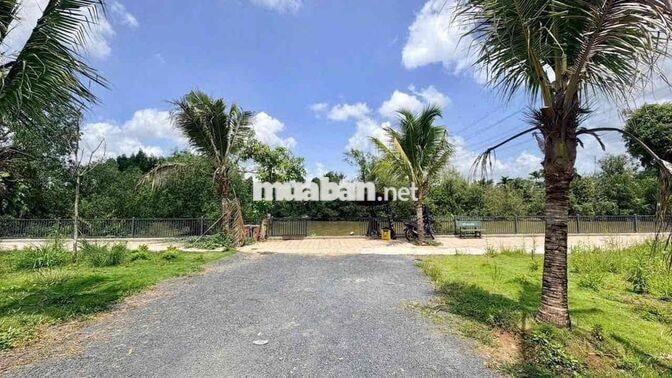 ĐẤT NỀN TÂN TRIỀU – HẠ TẦNG SINH THÁI (SHR)