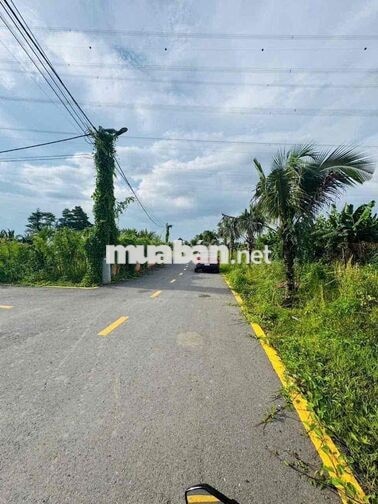ĐẤT NỀN TÂN TRIỀU – HẠ TẦNG SINH THÁI (SHR)