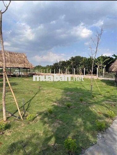 ĐẤT NỀN TÂN TRIỀU – HẠ TẦNG SINH THÁI (SHR)