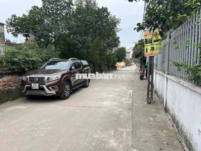 Nissan Navara EL 5 chỗ Nâu