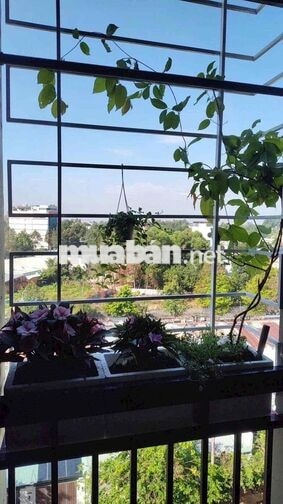 1pn full nội thất cọc 1 chung cư hiệp thành 3
