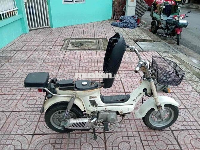 Honda Chaly 1981 màu trắng