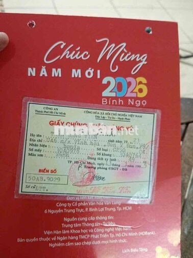 Honda Chaly 1981 màu trắng