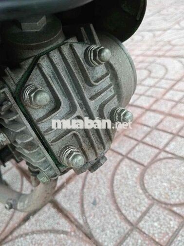 Honda Chaly 1981 màu trắng