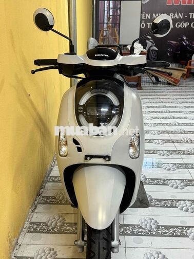 Scoopy màu trắng đen mẫu mới 43D1-019.59