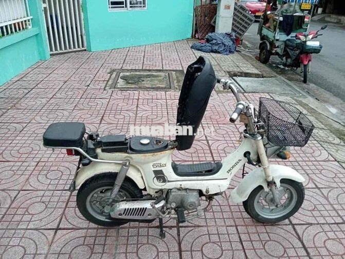 Honda Chaly 1981 màu trắng