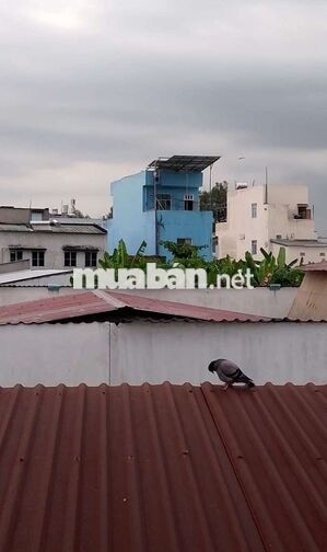 Nhà chính chủ cần ra nhanh, giá rẻ