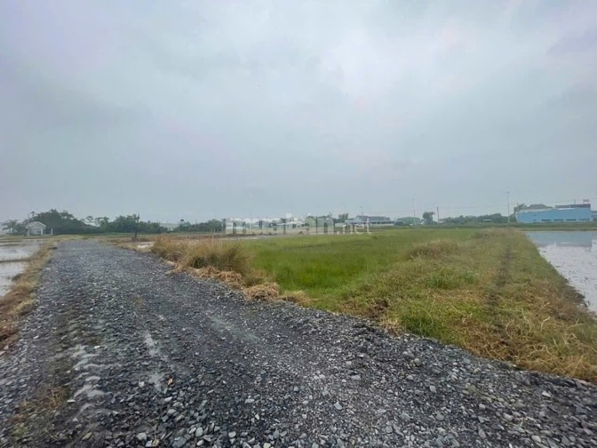 Bán đất 1 sẹc 823D, giáp ranh HCM , DT lớn, view thoáng, 1647m2