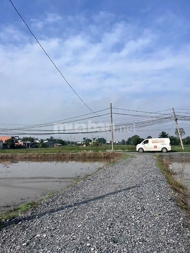 Bán đất 1 sẹc 823D, giáp ranh HCM , DT lớn, view thoáng, 1647m2