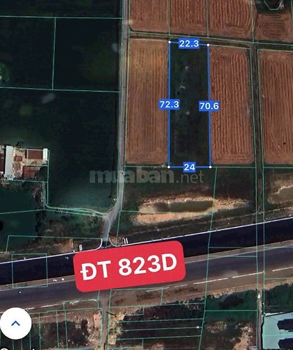 Bán đất 1 sẹc 823D, giáp ranh HCM , DT lớn, view thoáng, 1647m2