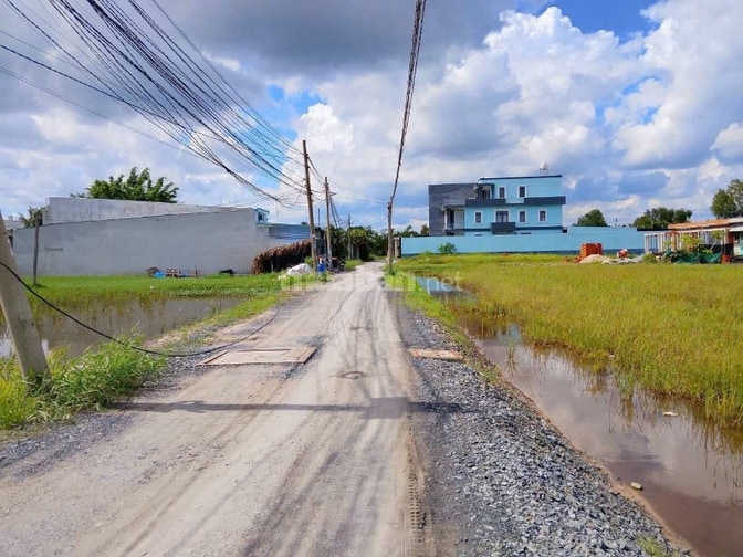 Bán đất 1 sẹc 823D, giáp ranh HCM , DT lớn, view thoáng, 1647m2