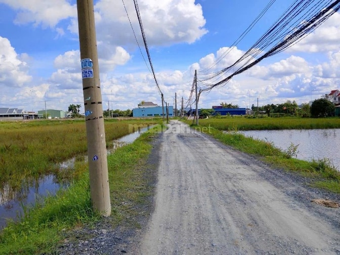 Bán đất 1 sẹc 823D, giáp ranh HCM , DT lớn, view thoáng, 1647m2