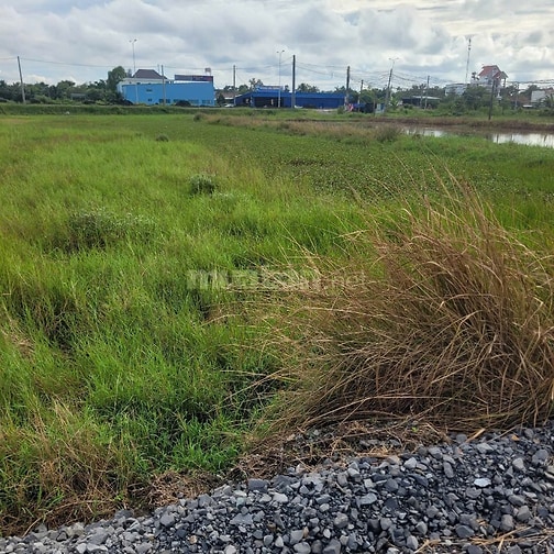 Bán đất 1 sẹc 823D, giáp ranh HCM , DT lớn, view thoáng, 1647m2