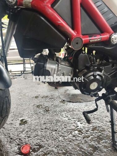 Xe máy Ducati 110 mini 2018 Trắng đen