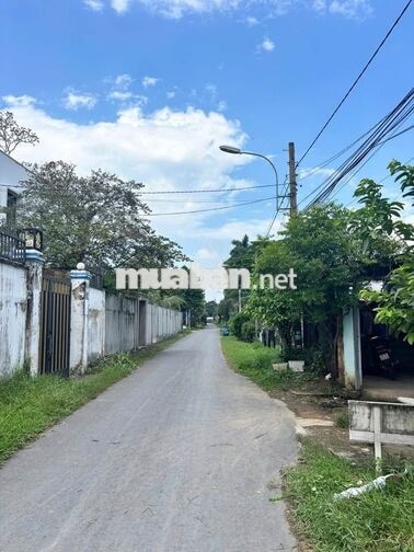 Chủ ngộp bán gấp đất 265m2 ngay X.Tân An Hôi, Củ Chi Giá 975 tr