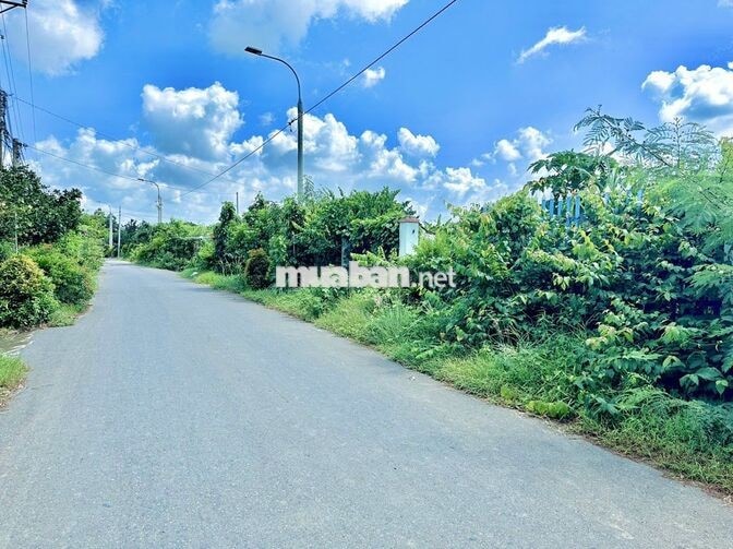 🏡 **BÁN NHÀ MẶT TIỀN GẦN 22M – CÁCH SÔNG 30M, CHỈ 3,2 TỶ**