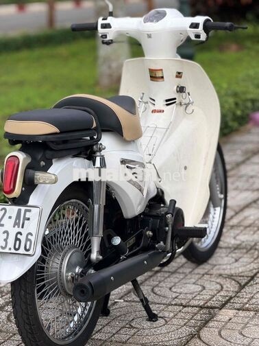 Cub 50cc Espero Classic 2022 trắng Zin ✅💥
