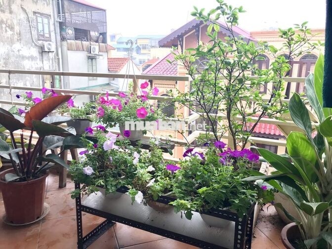 Cho thuê căn hộ tại Cầu Giấy với không gian sống chỉnh chu và văn minh