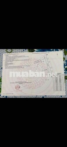 CẦN BÁN ĐẤT. TRUNG TÂM THỊ TRẤN CẦN THẠNH HUYỆN CẦN GIỜ.TPHCM
