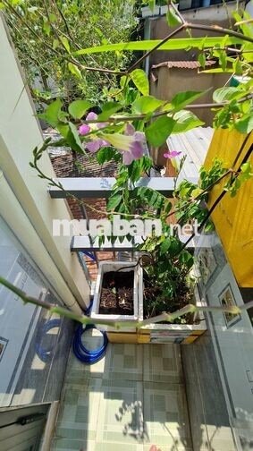 Cho thuê nguyên căn mini siêu xinh, đầy đủ tiện nghi - Chỉ vali vào ở!