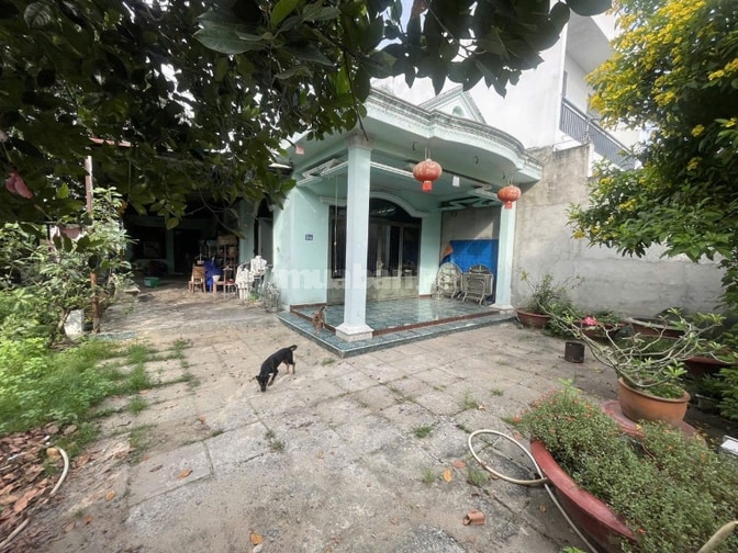 NHÀ TÂN HIỆP 300M2 (10x30) GIÁ MỚI 6,2 TỶ