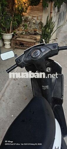 Honda Click màu Trắng
