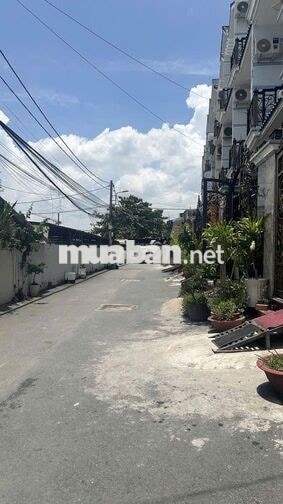✅P16 Q8 C/CHỦ CHO THUÊ NHÀ NGUYÊN CĂN 4PN 3LẦU